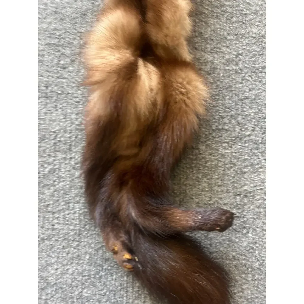 VTG Stone Marten Full Body Pelt Taxidermy w/ Paws Fur Neck Warmer Stole Scarf